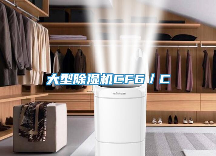 大型除濕機CF6／C