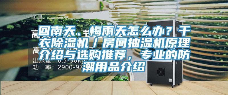 回南天、梅雨天怎么辦？干衣除濕機／房間抽濕機原理介紹與選購推薦，專業的防潮用品介紹