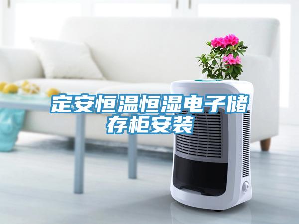 定安恒溫恒濕電子儲存柜安裝