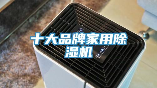 十大品牌家用除濕機