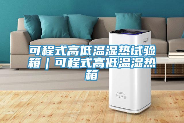 可程式高低溫濕熱試驗箱｜可程式高低溫濕熱箱
