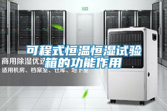 可程式恒溫恒濕試驗箱的功能作用