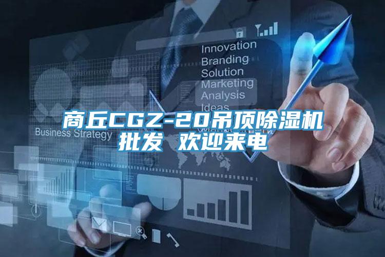 商丘CGZ-20吊頂除濕機(jī)批發(fā) 歡迎來(lái)電