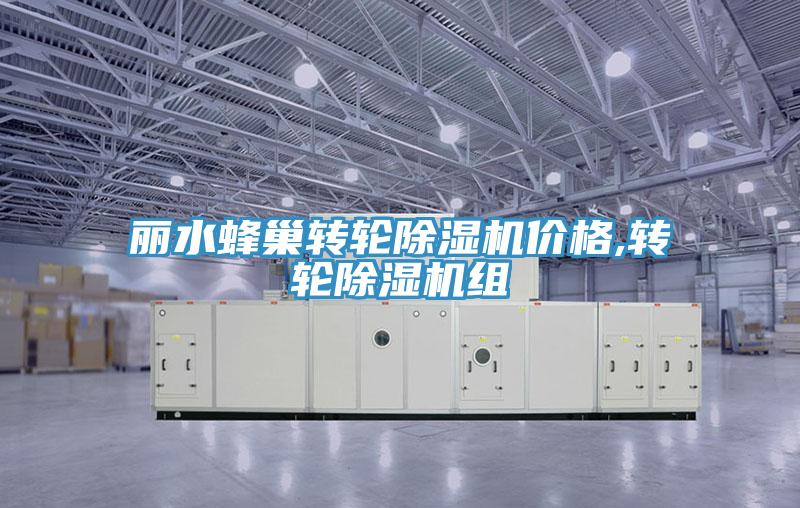 麗水蜂巢轉輪除濕機價格,轉輪除濕機組