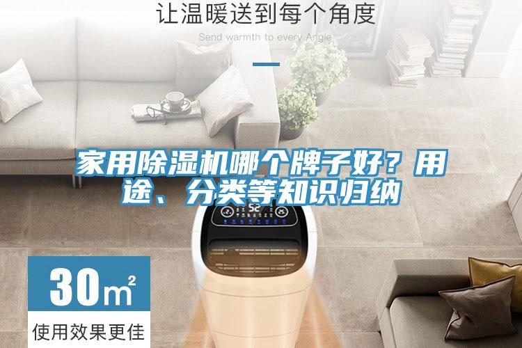 家用除濕機哪個牌子好？用途、分類等知識歸納