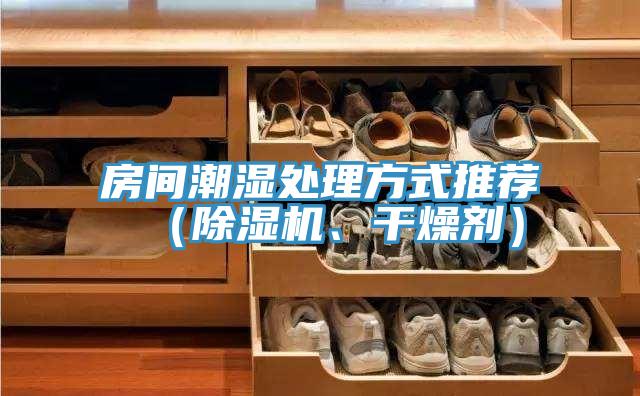 房間潮濕處理方式推薦（除濕機、干燥劑）
