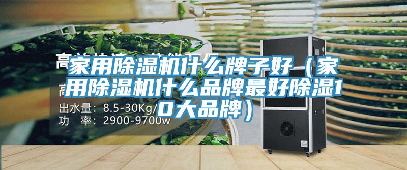 家用除濕機(jī)什么牌子好（家用除濕機(jī)什么品牌最好除濕10大品牌）