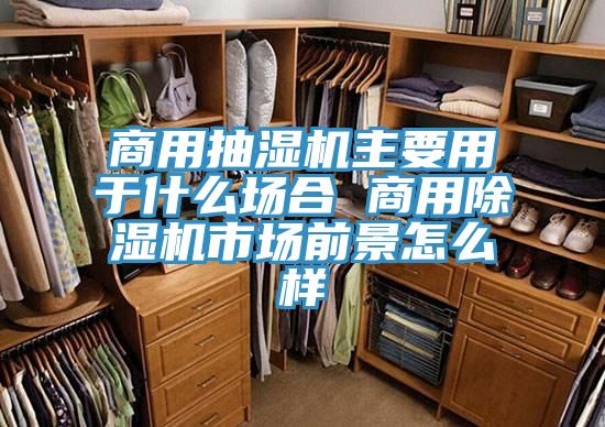 商用抽濕機(jī)主要用于什么場合 商用除濕機(jī)市場前景怎么樣