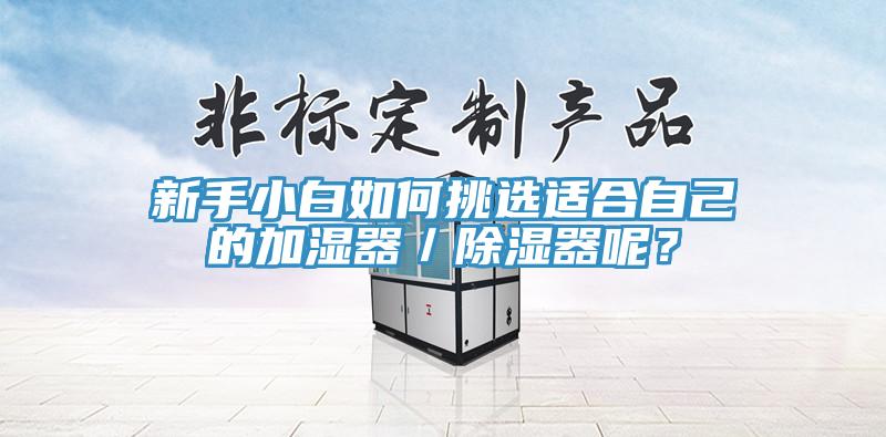 新手小白如何挑選適合自己的加濕器／除濕器呢？