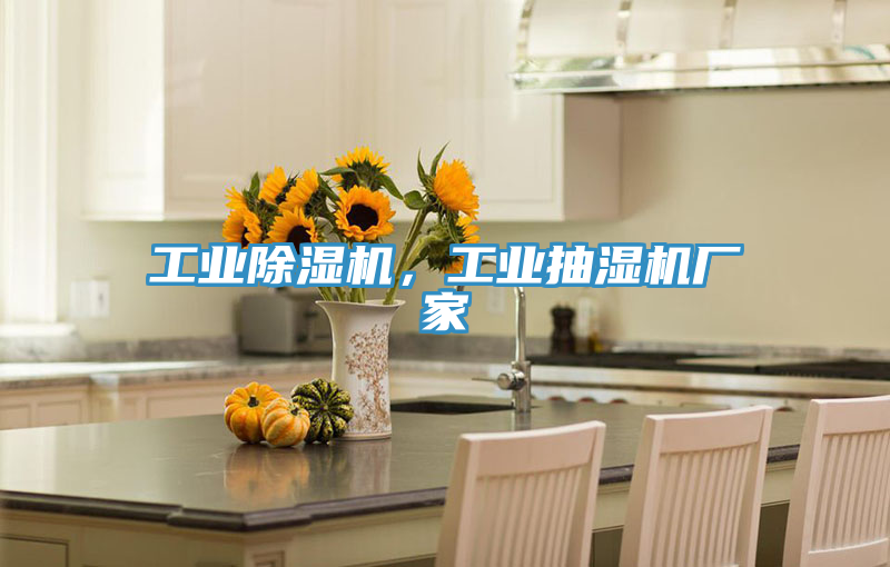 工業(yè)除濕機(jī)，工業(yè)抽濕機(jī)廠家