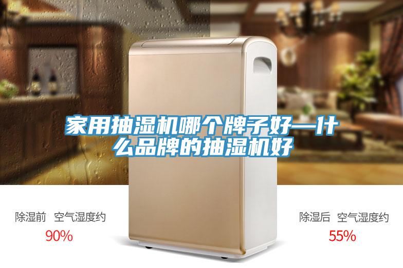 家用抽濕機(jī)哪個(gè)牌子好—什么品牌的抽濕機(jī)好