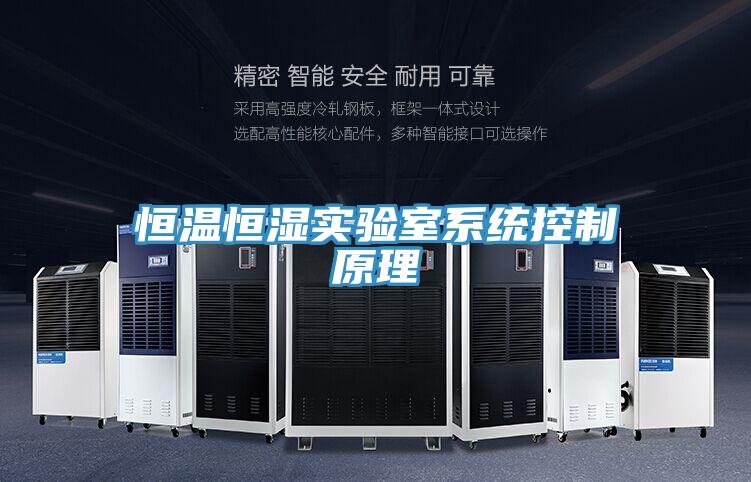 恒溫恒濕實驗室系統控制原理