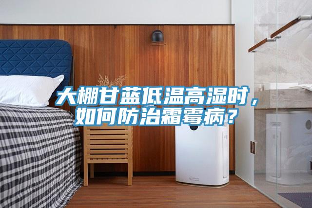 大棚甘藍(lán)低溫高濕時，如何防治霜霉病？