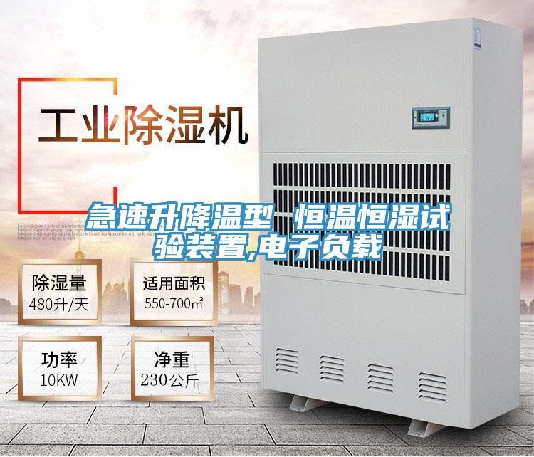 急速升降溫型 恒溫恒濕試驗裝置,電子負載