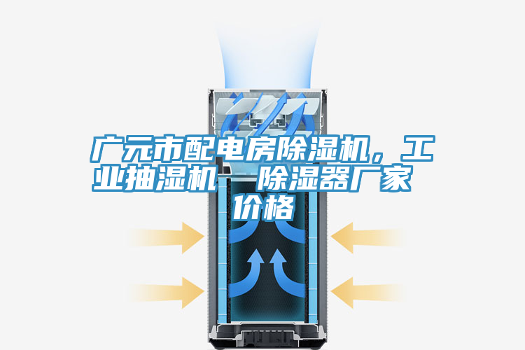 廣元市配電房除濕機，工業(yè)抽濕機  除濕器廠家 價格