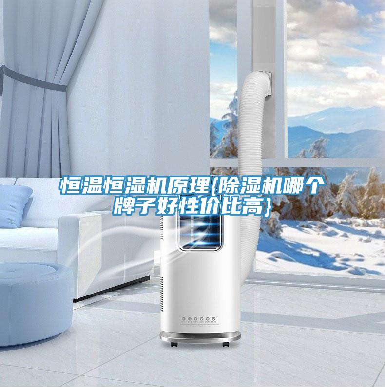 恒溫恒濕機(jī)原理{除濕機(jī)哪個牌子好性價(jià)比高}