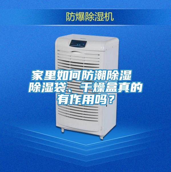 家里如何防潮除濕 除濕袋、干燥盒真的有作用嗎？