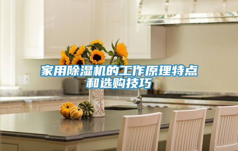 家用除濕機的工作原理特點和選購技巧