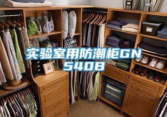實驗室用防潮柜GN540B