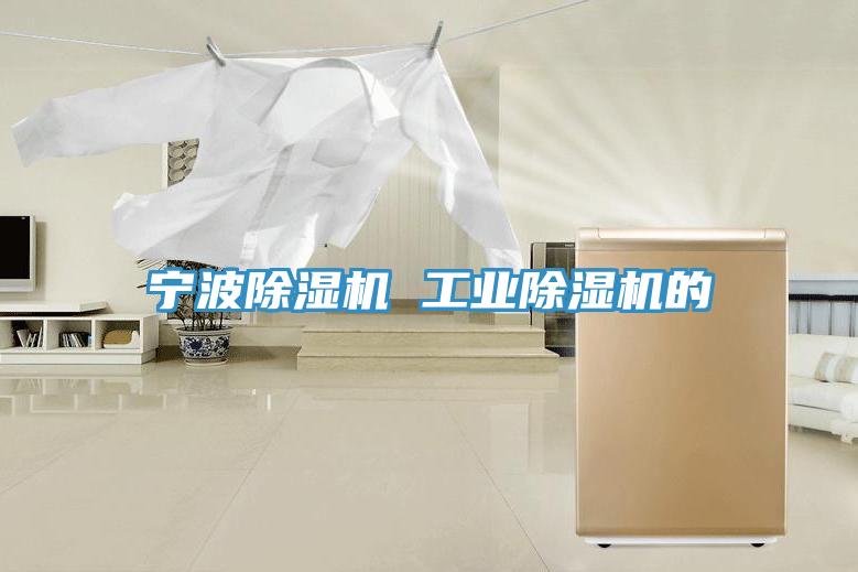 寧波除濕機 工業除濕機的