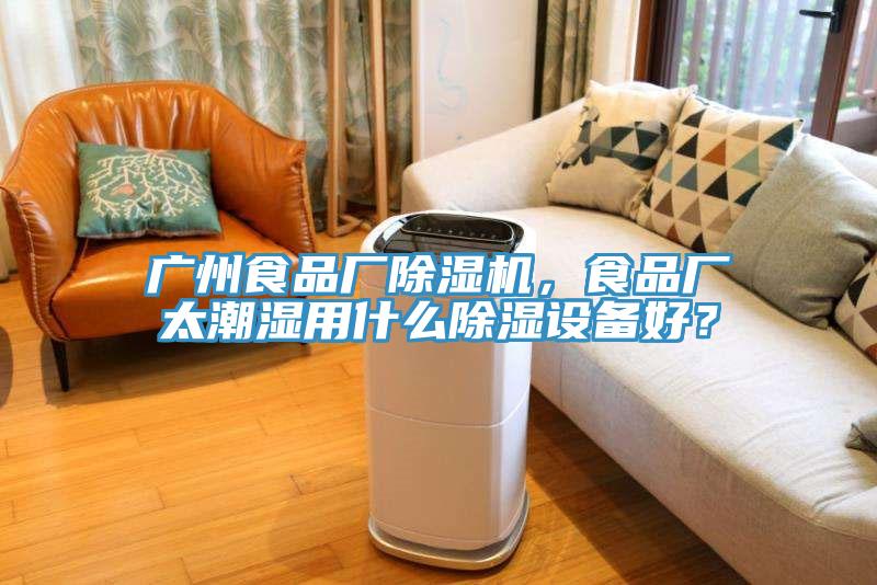 廣州食品廠除濕機，食品廠太潮濕用什么除濕設備好？