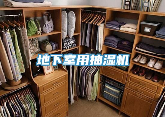 地下室用抽濕機(jī)