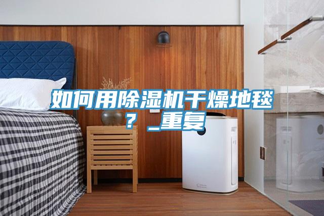 如何用除濕機(jī)干燥地毯？_重復(fù)