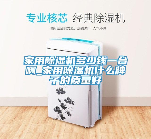家用除濕機多少錢一臺啊_家用除濕機什么牌子的質量好