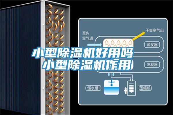 小型除濕機好用嗎 小型除濕機作用