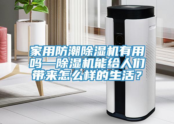 家用防潮除濕機有用嗎—除濕機能給人們帶來怎么樣的生活？