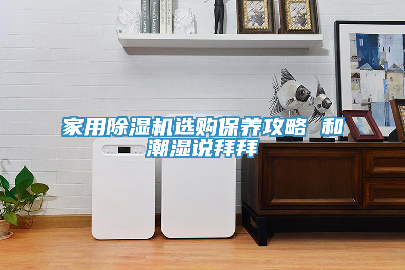 家用除濕機選購保養攻略 和潮濕說拜拜