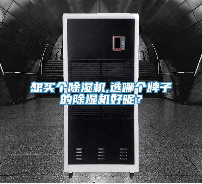 想買個(gè)除濕機(jī),選哪個(gè)牌子的除濕機(jī)好呢？
