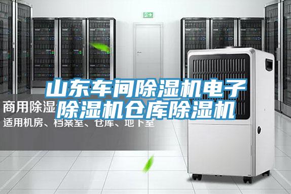 山東車間除濕機電子除濕機倉庫除濕機