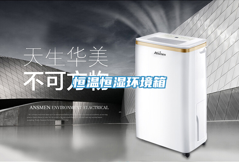 恒溫恒濕環(huán)境箱