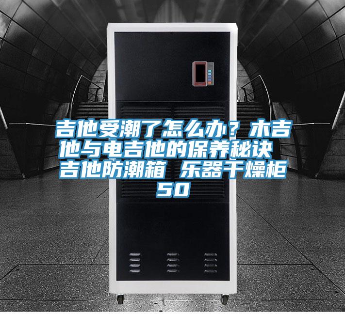 吉他受潮了怎么辦？木吉他與電吉他的保養秘訣 吉他防潮箱 樂器干燥柜50