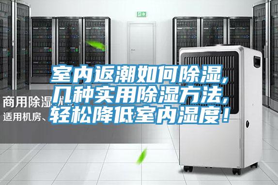 室內返潮如何除濕,幾種實用除濕方法,輕松降低室內濕度！