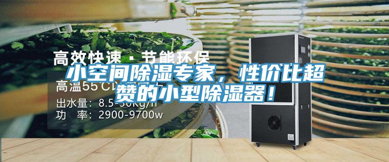 小空間除濕專家，性價比超贊的小型除濕器！