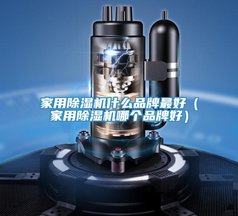 家用除濕機(jī)什么品牌最好（家用除濕機(jī)哪個(gè)品牌好）