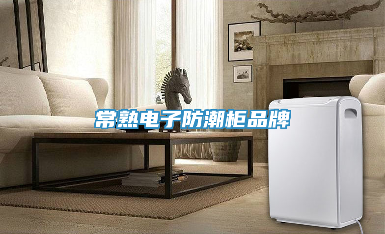 常熟電子防潮柜品牌
