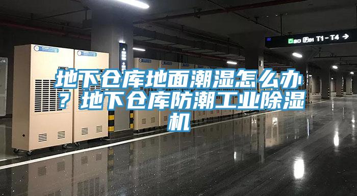 地下倉庫地面潮濕怎么辦？地下倉庫防潮工業除濕機