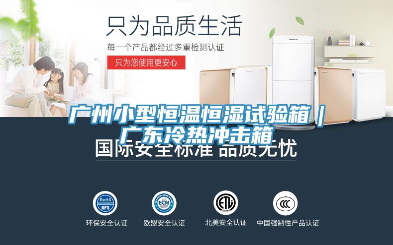 廣州小型恒溫恒濕試驗箱｜廣東冷熱沖擊箱