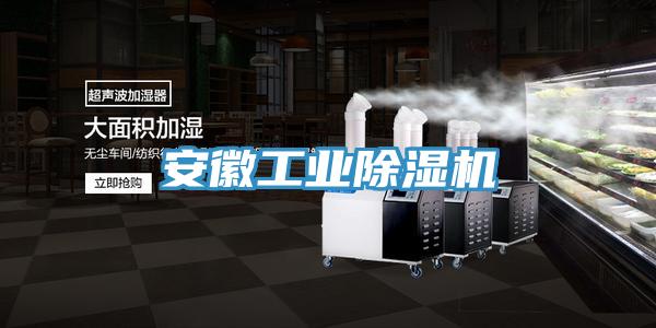 安徽工業除濕機