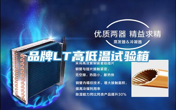 品牌LT高低溫試驗箱