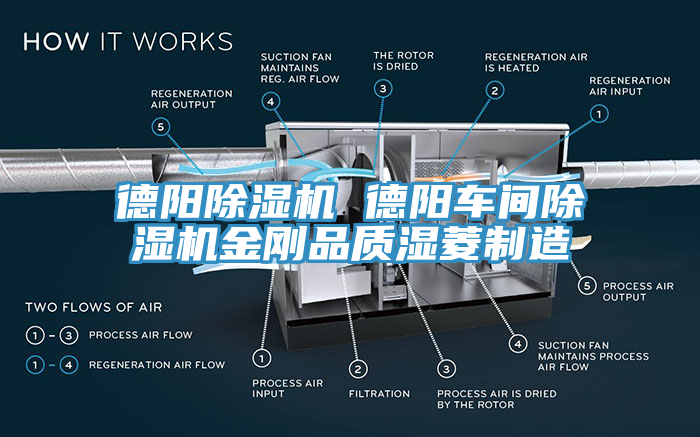 德陽除濕機(jī) 德陽車間除濕機(jī)金剛品質(zhì)濕菱制造