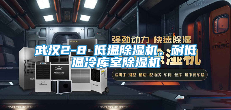 武漢2-8℃低溫除濕機，耐低溫冷庫室除濕機