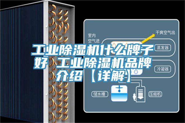 工業除濕機什么牌子好 工業除濕機品牌介紹【詳解】