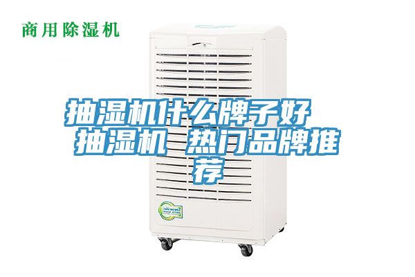 抽濕機什么牌子好  抽濕機 熱門品牌推薦