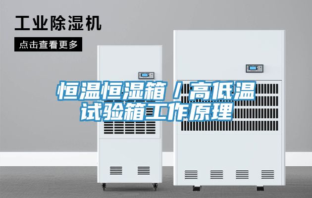 恒溫恒濕箱／高低溫試驗箱工作原理