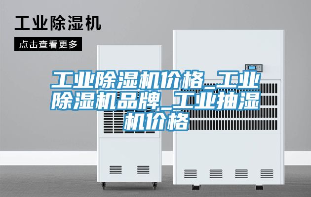 工業除濕機價格_工業除濕機品牌_工業抽濕機價格
