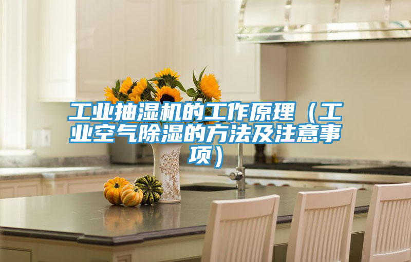 工業抽濕機的工作原理（工業空氣除濕的方法及注意事項）